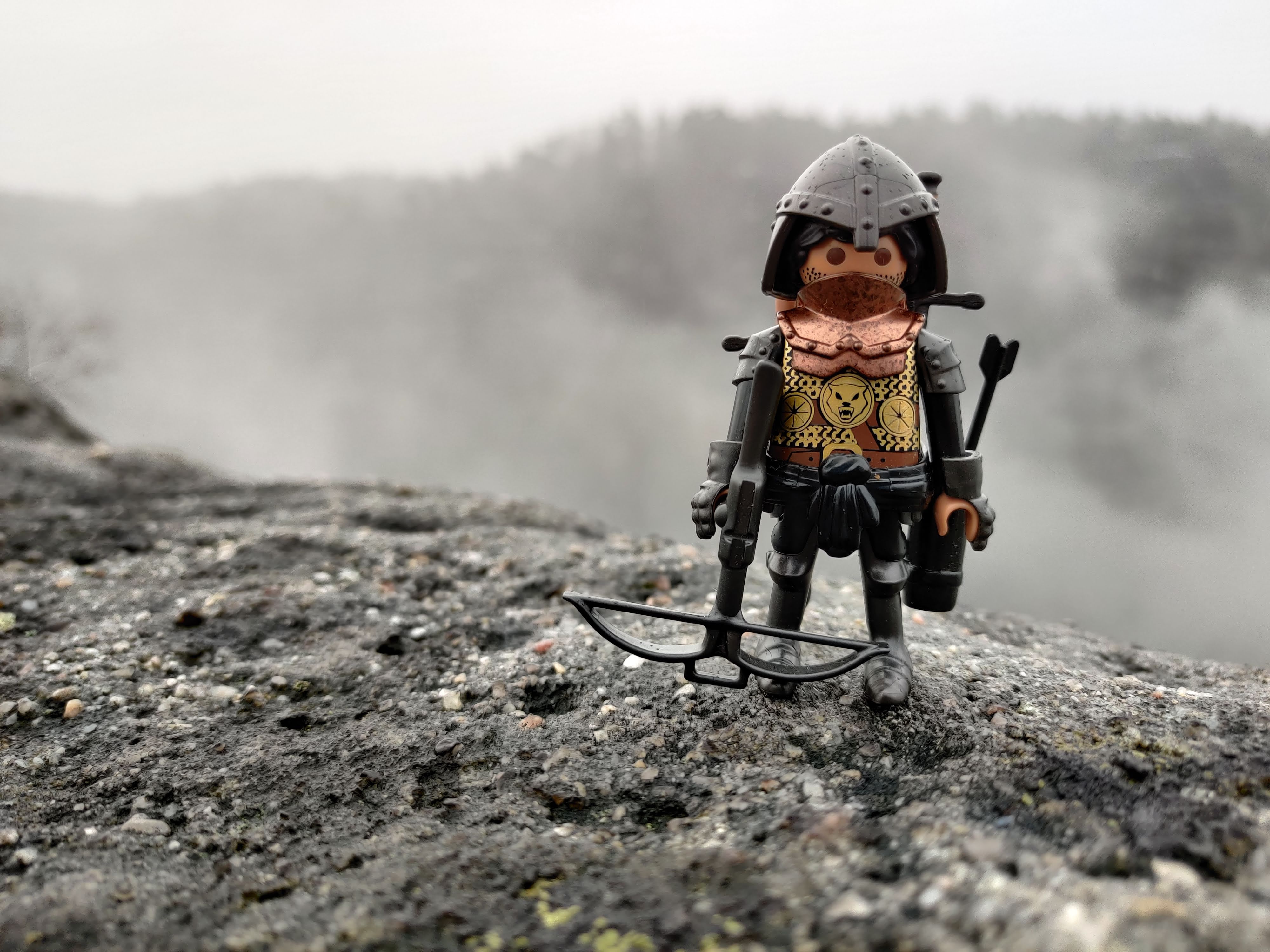 Ritter im Nebel auf einem Felsen